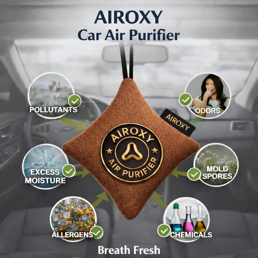 Airoxy Non-Electric Car Air Purifier - Silky Brown